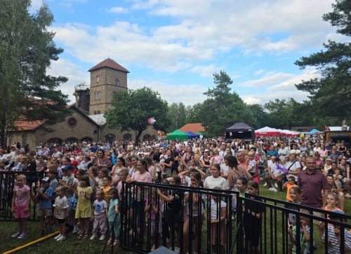 Pokazy hutnicze, zabytkowe auta i koncert Natalii Nykiel. Tak wyglądało 22. Święto Żelaza i Stali
