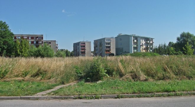 Mieszkańcy znów skarżą się na nieskoszoną trawę