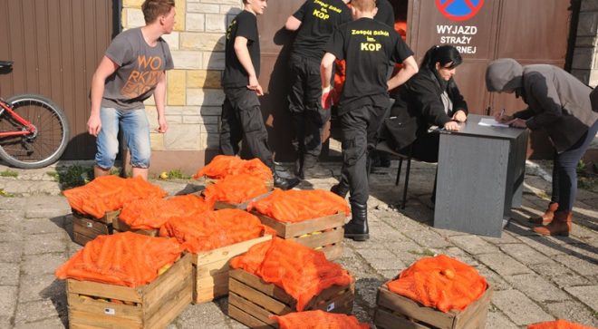20 ton jabłek i 10 ton marchewki otrzymali mieszkańcy Szydłowca