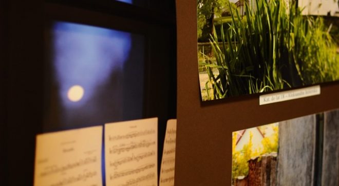 „Szydłowiec światłem malowany” – zobacz zdjęcia