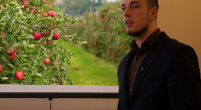 Jak założyć i prowadzić ekologiczny sad jabłoniowy?