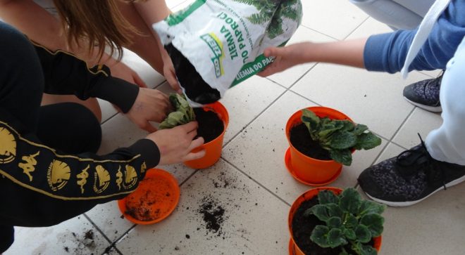 Szydłowiecka szkoła w programie „Weź oddech”