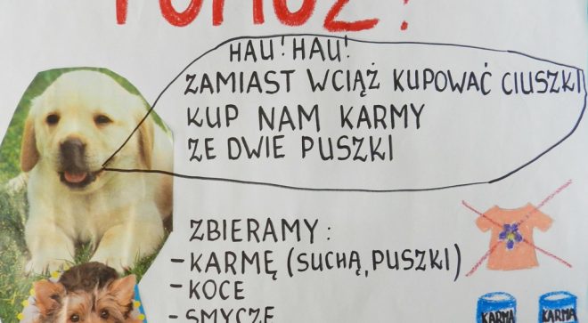 „Pomagamy zwierzakom” – akcja w gimnazjum „Kopernika”