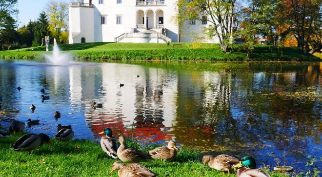 Szydłowiec w jesiennym słońcu