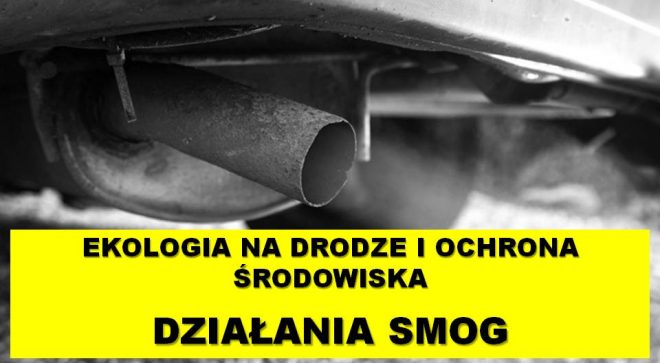 Podsumowanie działań „SMOG”