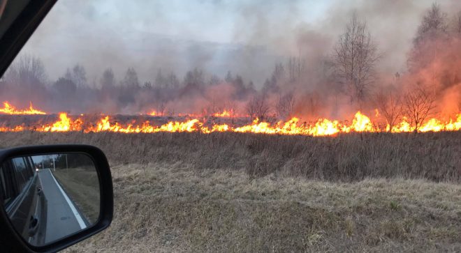 Przerażające liczy dotyczące pożarów w powiecie szydłowieckim od początku roku
