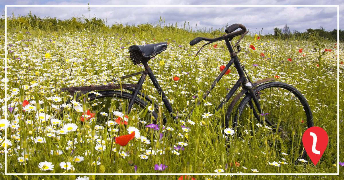 Powitanie wiosny na rowerach Powitanie wiosny na rowerach