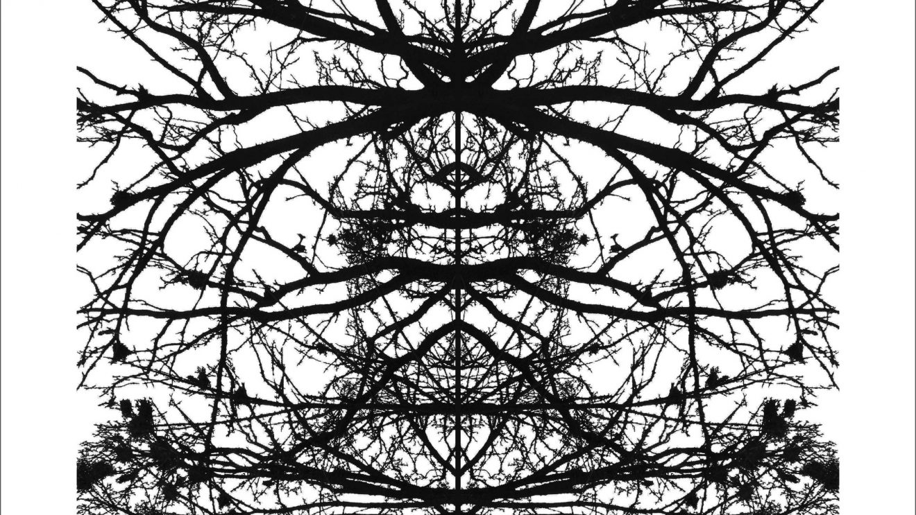 Zapraszamy na koncert! Zapraszamy na koncert!