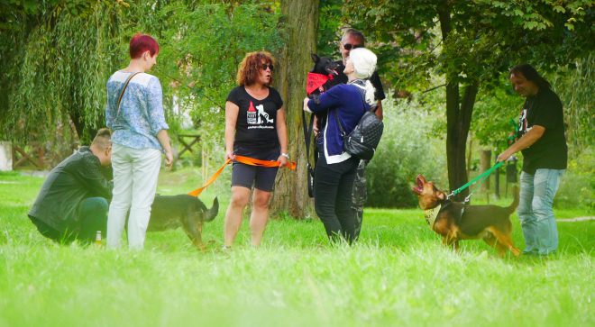 Dzień Psiaka Szydłowiaka