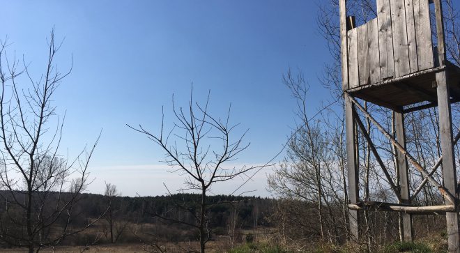 Makabryczne znalezisko w okolicach ulicy Polnej w Szydłowcu