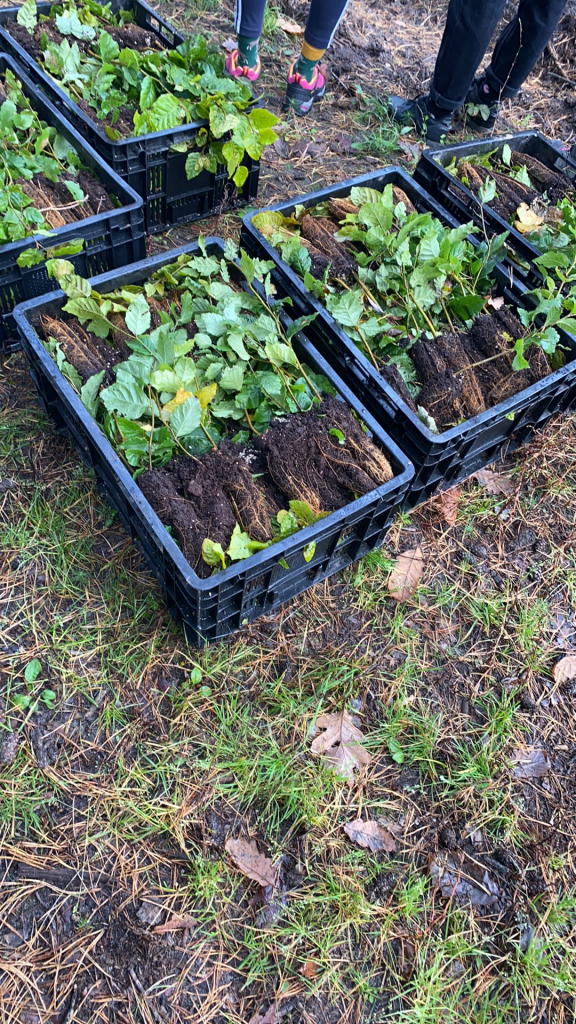 120573382_3676671032344605_4663627350569204388_n