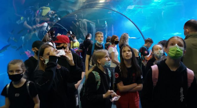 Szydłowieccy karatecy zwiedzali oceanarium