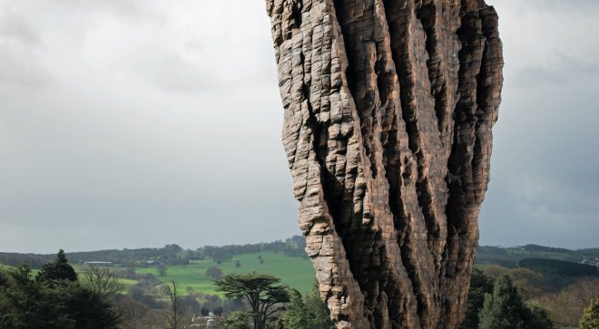 Tylko sztuka – monumentalna wystawa Ursuli von Rydingsvard