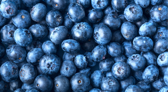 Dzień Jagody | Spotkanie z Muzyką Ludową