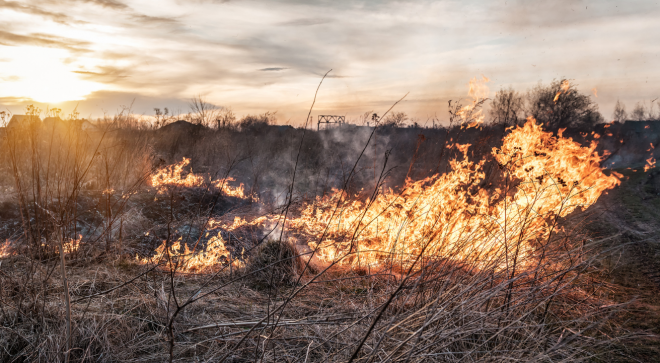 Pożary nieużytków i suchych traw