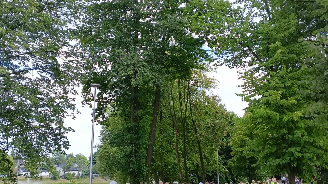 Zapraszamy na Senioralia