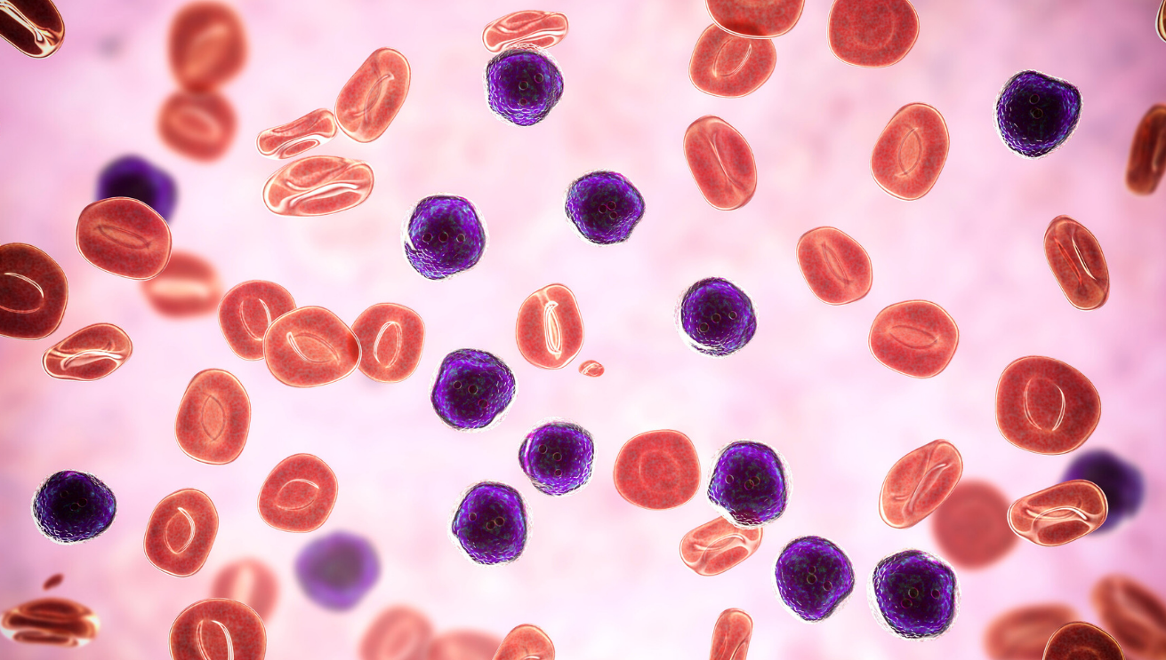 Liceum Ogólnokształcące im. Henryka Sienkiewicza w Szydłowcu rozpoczyna realizację projektu edukacyjnego „Komórkomania”