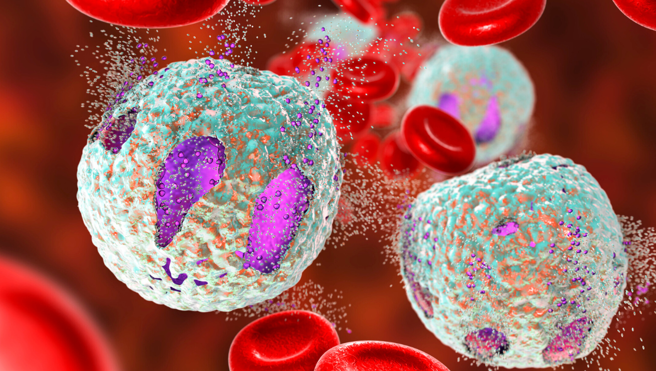 Realizacja projektu #KOMÓRKOMANIA Realizacja projektu #KOMÓRKOMANIA