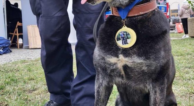 Pożegnanie czworonożnego funkcjonariusza policji w Szydłowcu