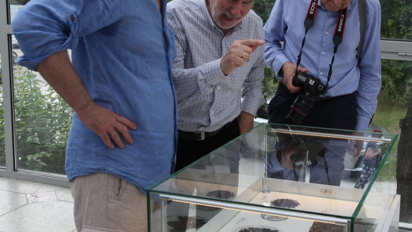 Woda jako inspiracja sztuki – Ogólnopolski Plener Medalierski w Orońsku