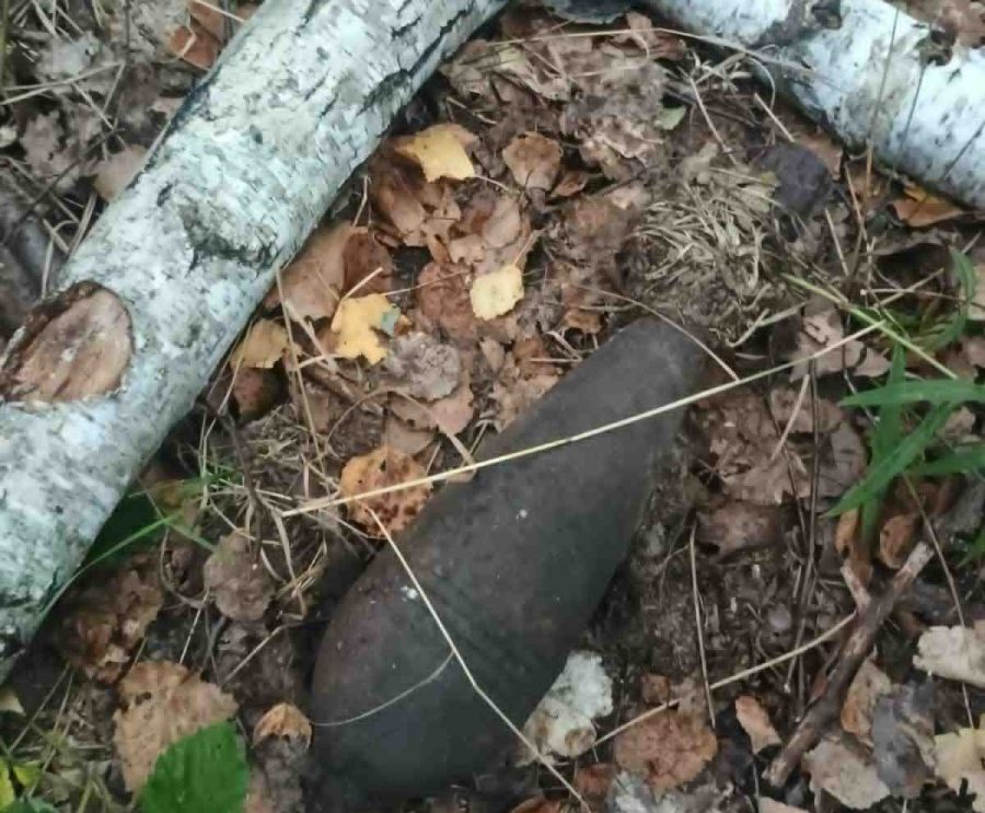 Niewybuch w Gminie Chlewiska. Granat moździerzowy zabezpieczony przez saperów